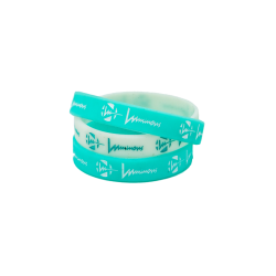 LUMINOUS - WRIST BAND